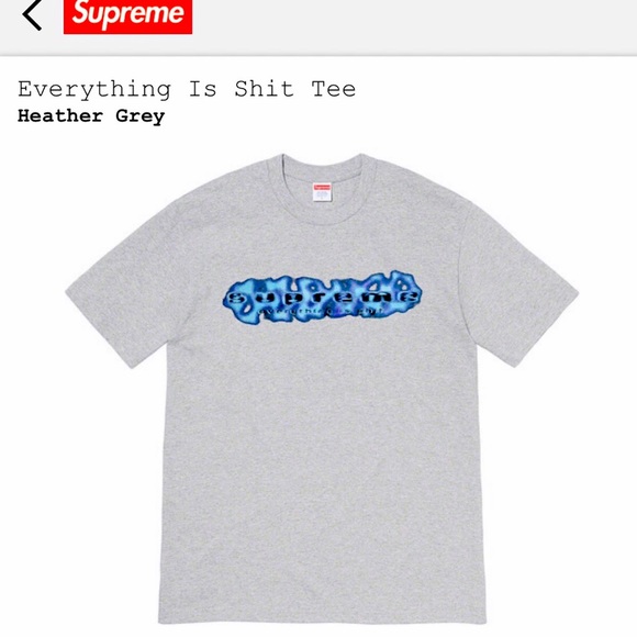 *SOLD* Supreme Everything Is Shit Tee in Grey - Picture 2 of 3